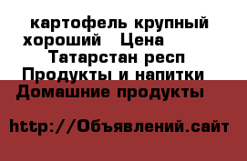 картофель крупный хороший › Цена ­ 600 - Татарстан респ. Продукты и напитки » Домашние продукты   